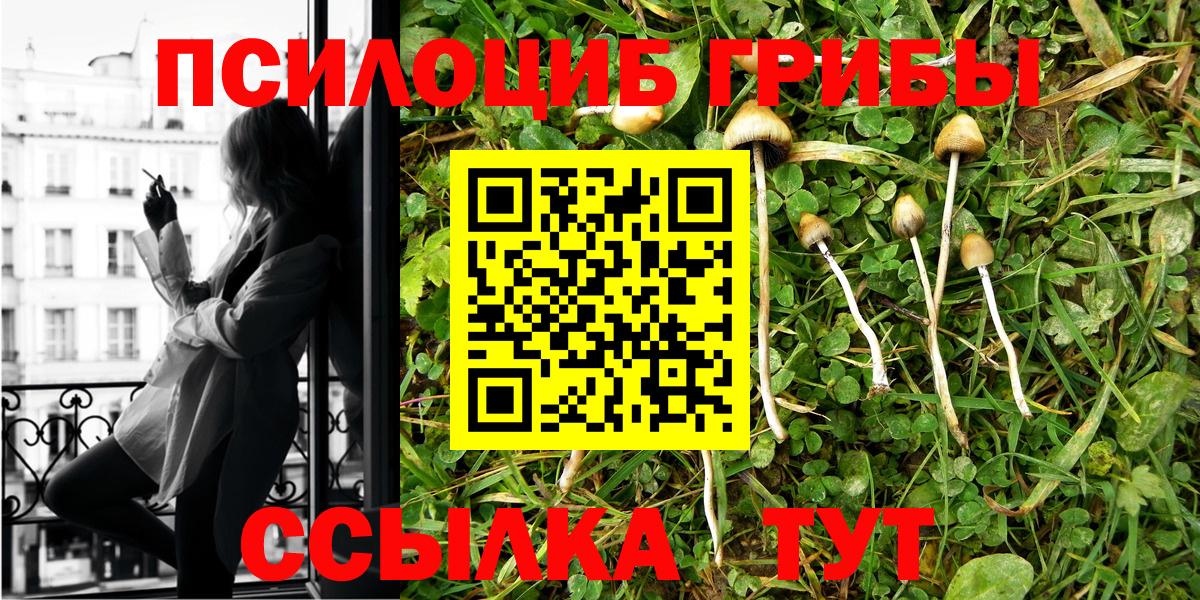 Тара  Галлюциногенные грибы Psilocybe  Вход с VPN 