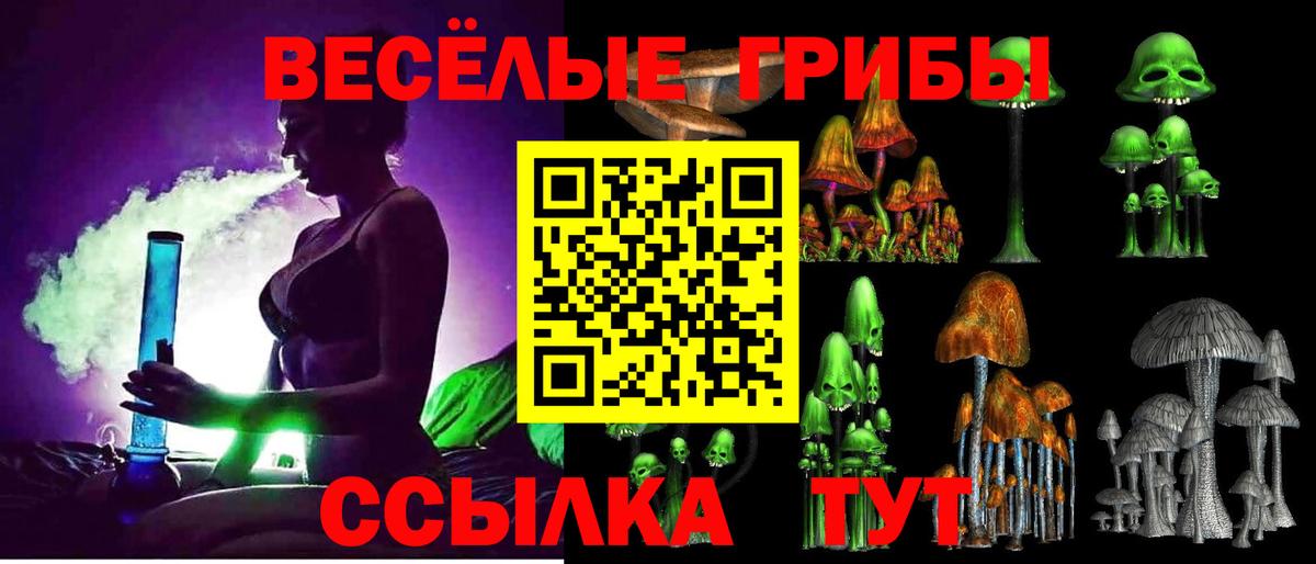 Псилоцибиновые грибы мицелий Тара