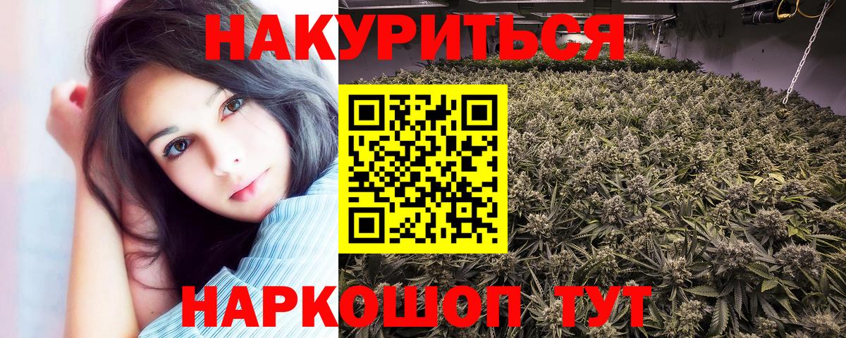 Тара  Конопля планчик  Вход с VPN  Бошки марихуана марихуана 